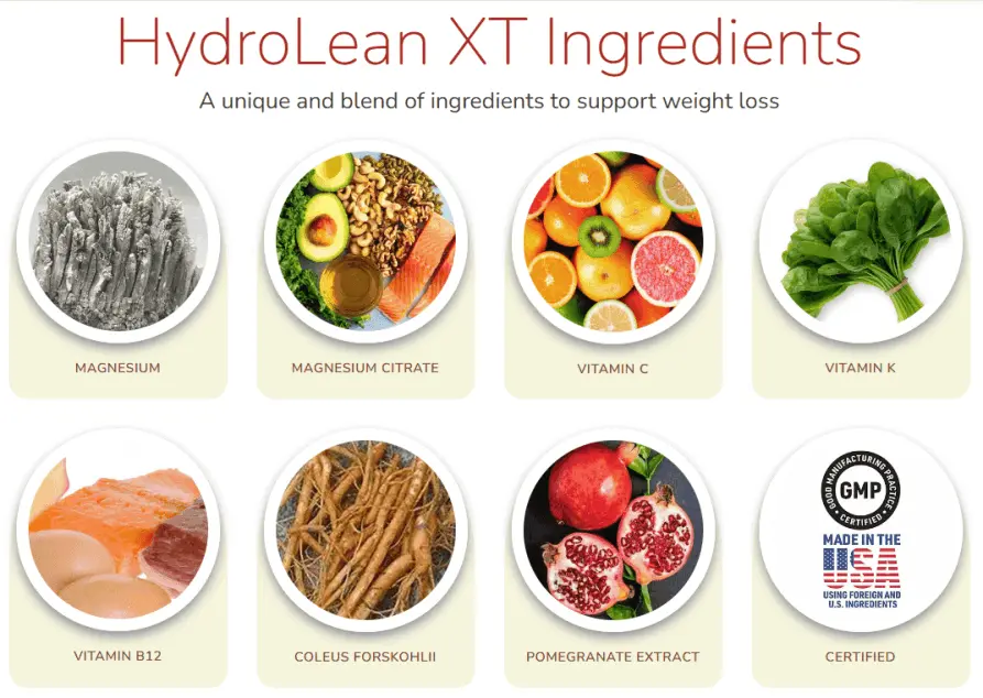 hydrolean xt ingredients